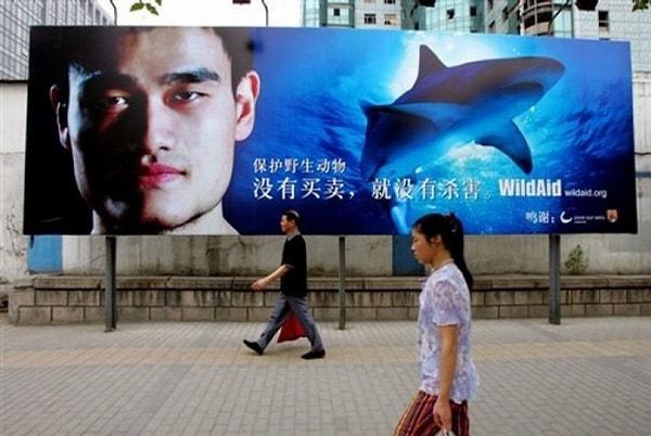 1. Yao Ming’in kişisel olarak yürüttüğü kampanya sayesinde köpek balığı yüzgeci çorbasının tüketim oranı Çin’de %50 oranında azalmıştı. Ünlü sporcunun sıradaki hedefi yasa dışı avcılık.