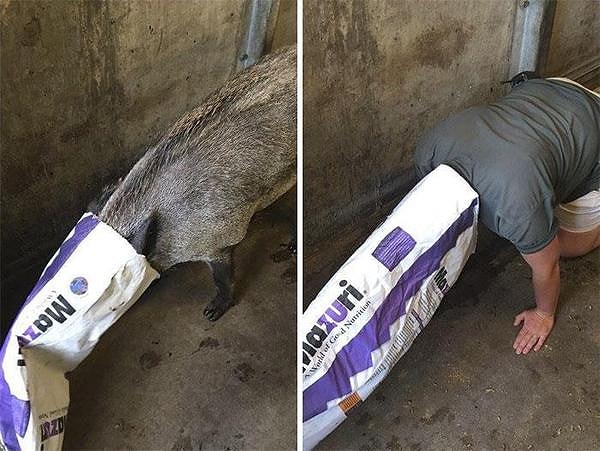 8. Что это у нас тут?