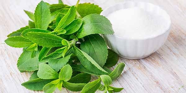 9) Stevia Bitkisi