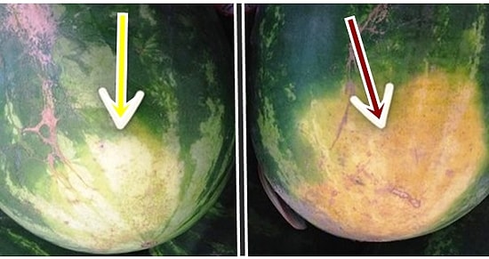 Seçmece Bunlar Seçmece! Sözlerine İnanabilmeniz İçin Önerilen 14 Besin Seçme Tüyosu