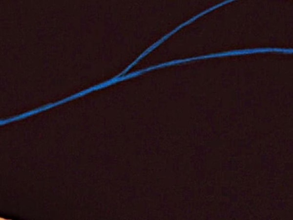 4. Еще одна обладательница темных волос. Кто же эта принцесса?