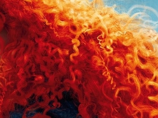 9. У какой принцессы могут быть такие рыжие волосы?