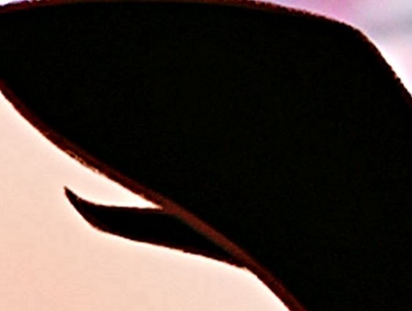 8. А тут видимо...?