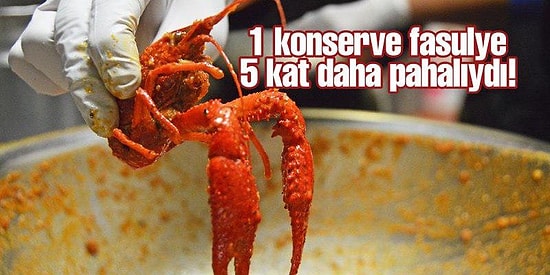 Ezberleri Bozuyoruz! Bir Zamanların Değersiz Böceği Nasıl Lüks Sofraların Sembolü Oldu?