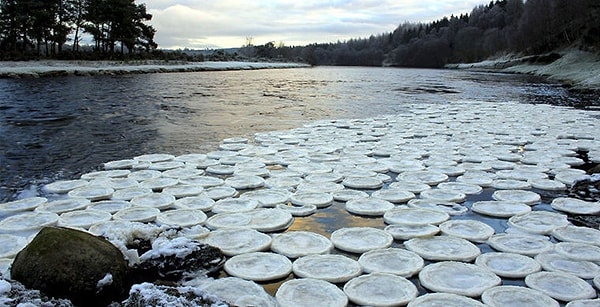 8. А что думаете, глядя на эту фотографию?