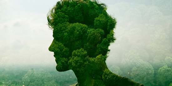 Тест: Определите, на фотографии творение природы или дело рук человека