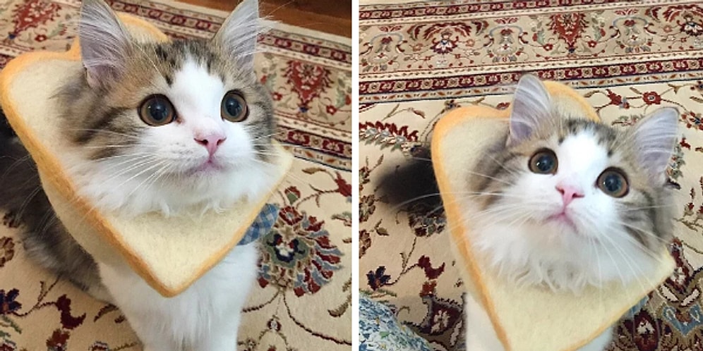 İçinizi Güneş Gibi Isıtarak Haftanızın Harika Geçmesini Sağlayacak 13 Paylaşım