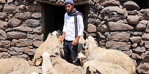 Çobanlık Yaparak Okuyan ÖSYM Mağduru Genç: İmkânsızlıklarla Sınava Girdim, Yetkililerden Yardım İstiyorum'