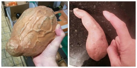 Görür Görmez Endazeyi Şaşırıp Hayatı Şöyle Bir Sorgulayacağınız 17 Tuhaf Sebze