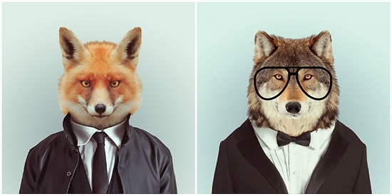 Тест: Какое вы животное на работе?