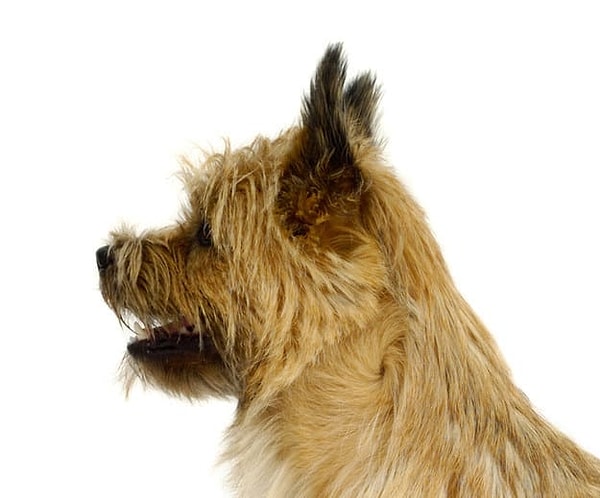 5. Справитесь с этой?