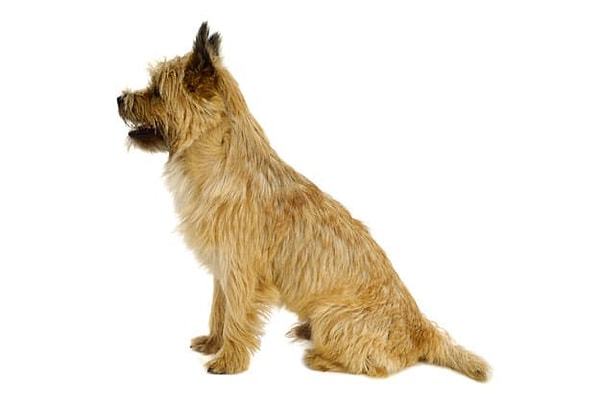 Посмотреть правильный ответ: