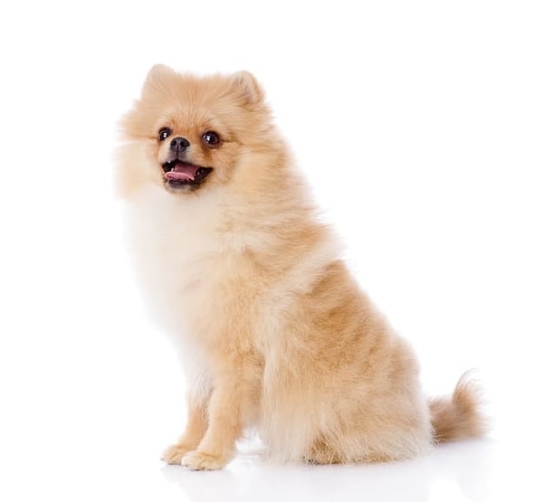 Посмотреть правильный ответ: