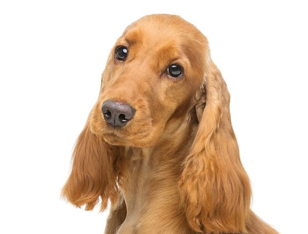 7. Осталось совсем немного!