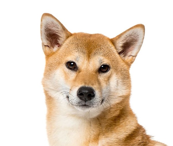 8. Итак, последний вопрос: