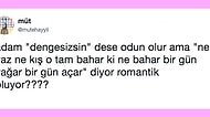 Yüzde Kaç Romantik, Yüzde Kaç Odunsun?