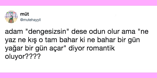 Yüzde Kaç Romantik, Yüzde Kaç Odunsun?