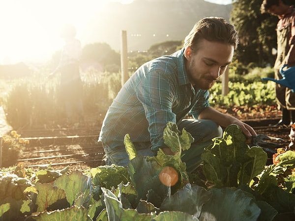 8. Какой овощ вы любите меньше всего?