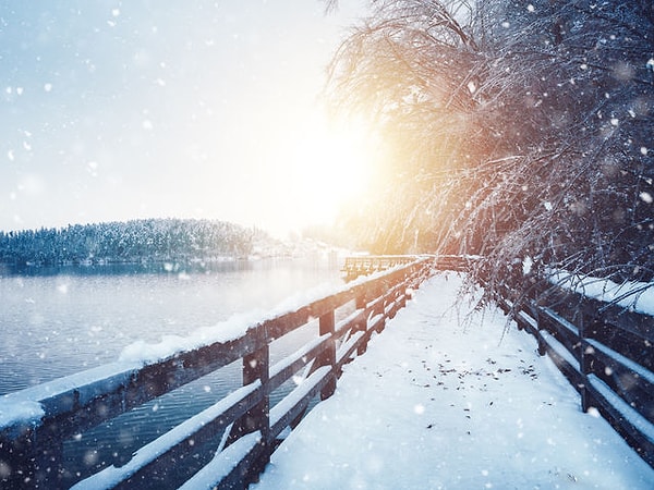 Вы родились в декабре!