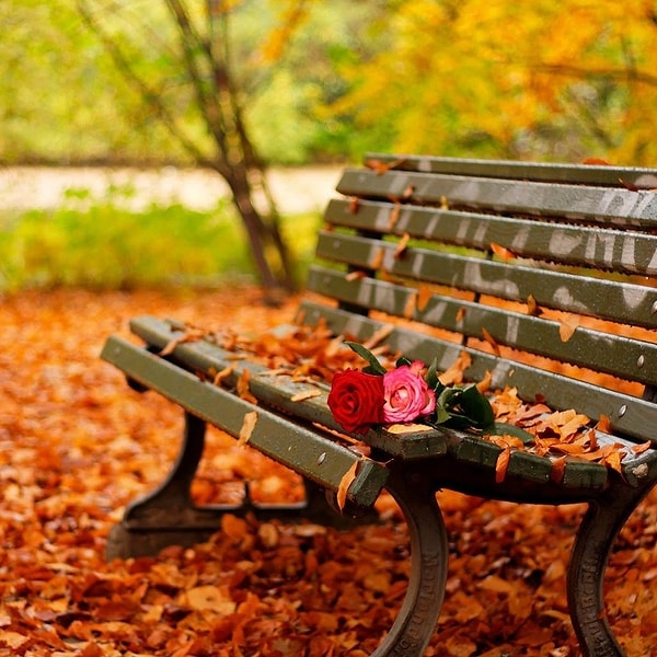 Вы родились в октябре!