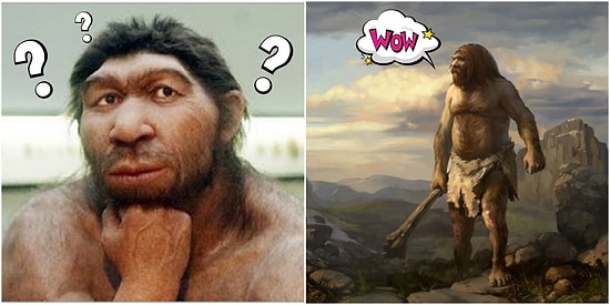 Тест: Кем бы вы работали, родись вы неандертальцем?