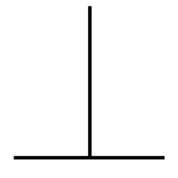 22. Bu iki çizgi aynı boyutta. İnanmıyorsanız ölçün.
