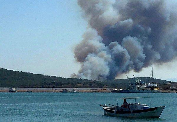 NTV canlı yayınına telefonla bağlanan Balıkesir Valisi Yazıcı, yangının yol kenarında başladığının belirlendiğini söyledi.
