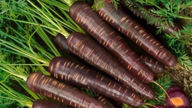 8. Görseldeki nedir?