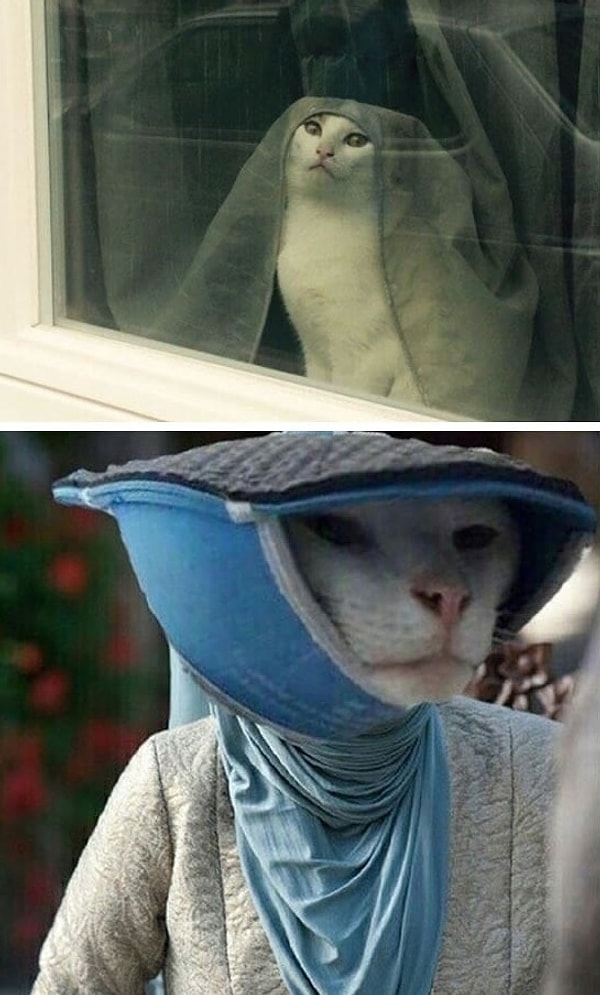 9. Оленна Тирелл