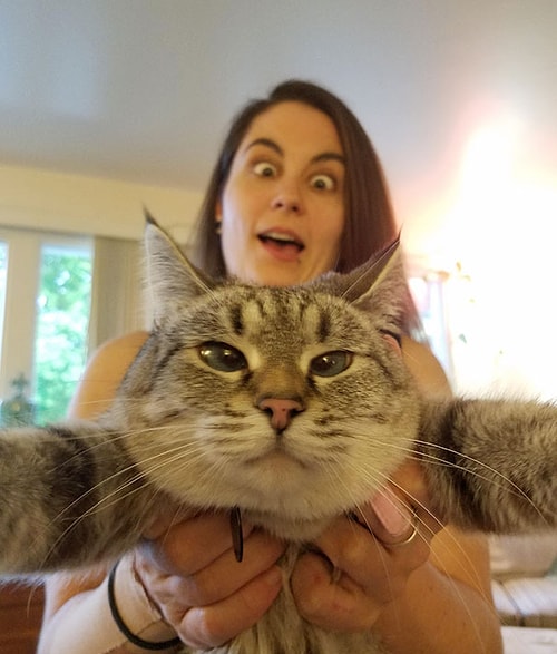 Fotoğraf Çekildiği İnsana 'Senin Abuk Subuk Selfielerinde Olmak İstemiyorum' Diyen 26 Kedi
