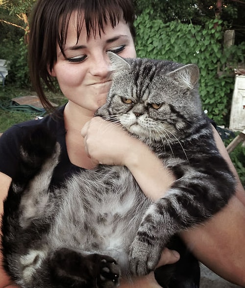 Fotoğraf Çekildiği İnsana 'Senin Abuk Subuk Selfielerinde Olmak İstemiyorum' Diyen 26 Kedi