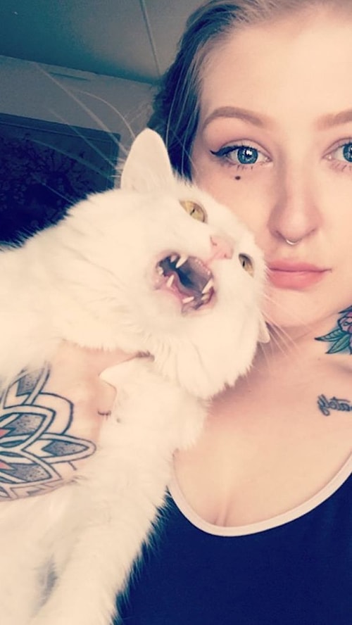 Fotoğraf Çekildiği İnsana 'Senin Abuk Subuk Selfielerinde Olmak İstemiyorum' Diyen 26 Kedi