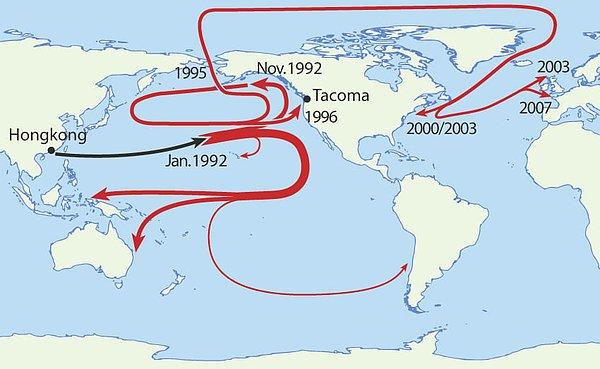3. 1992'de bir kargo gemisinden düşen 29.000'e yakın plastik ördeğin hangi yıl, nerede kıyıya vurduğunu görebilirsiniz: