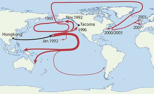 3. 1992'de bir kargo gemisinden düşen 29.000'e yakın plastik ördeğin hangi yıl, nerede kıyıya vurduğunu görebilirsiniz: