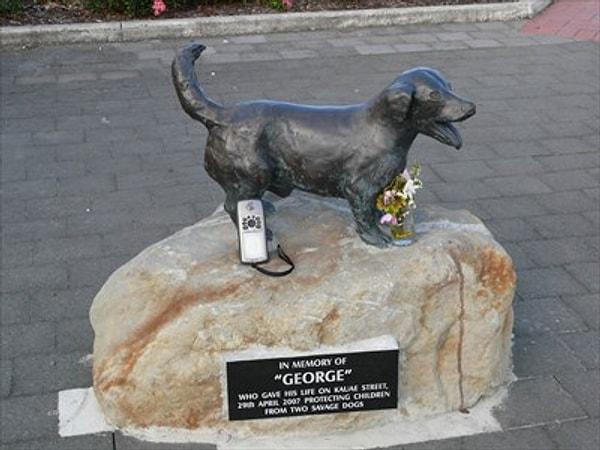 15. 2007 yılında George adındaki 9 yaşında bir Jack Russell Terrier’i, kendini üç pitbull’un önüne atarak oradaki 5 çocuğun hayatını kurtardı.