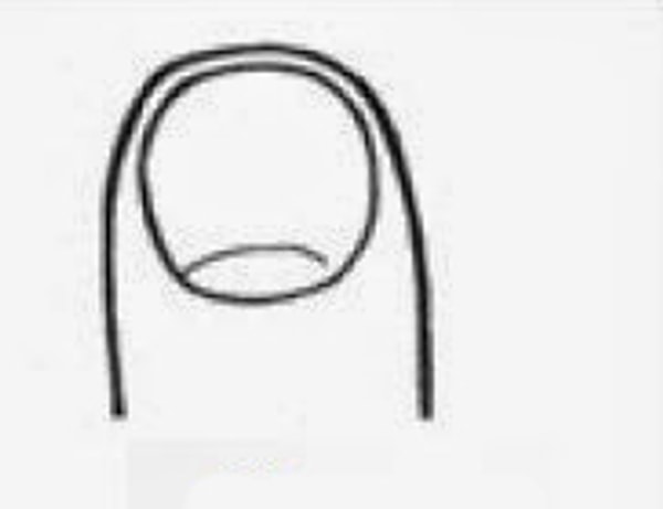 Короткие и округлые