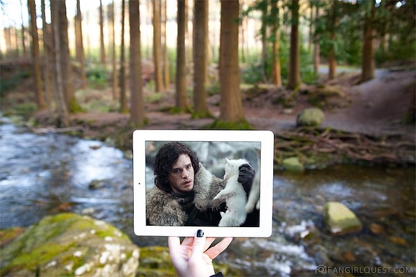 4. Лесной парк Толлимор, Северная Ирландия