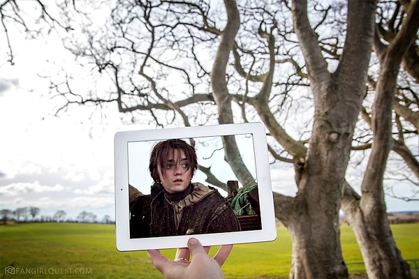 10. Буковая аллея Дарк Хеджес в Северной Ирландии