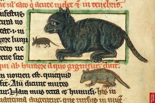 Öncelikle, kedilerden niye korkulurdu kısaca bahsedelim. Orta Çağ'daki cadıları ve yanlarındaki simsiyah yardımcılarını bir kenara bırakırsak…