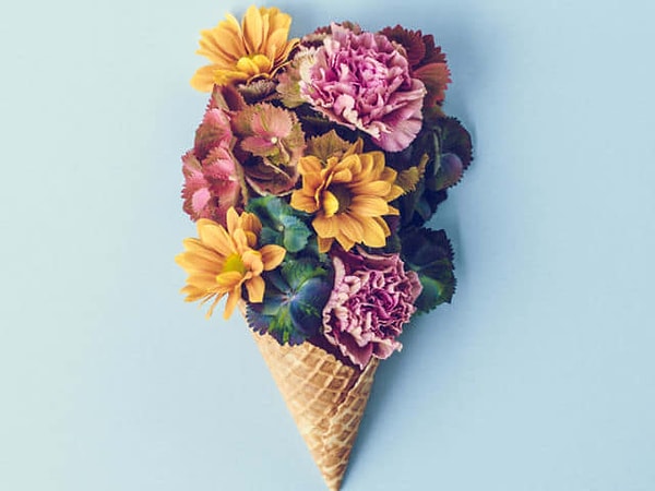 5. Какой цветок кажется вам самым красивым?