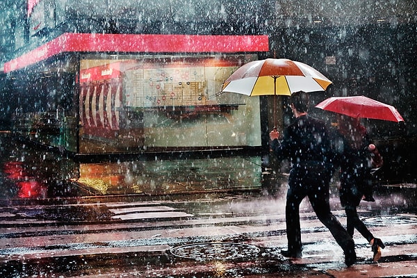 11. Питер. Московский проспект. Ливень. Едем в маршрутке. Вдруг тормозим посреди улицы, водила выскакивает и убегает через оживленное движение на противоположную сторону. Все в шоке, делают ставки, куда он учесал. А там, на дороге, черепаха, он ее подобрал и вернулся.