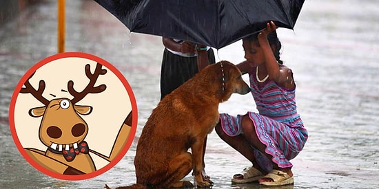 13 историй из "Подслушано", которые вернут вам веру в человечество