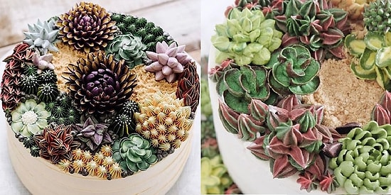 Самые аппетитные кактусы на свете, сделанные из айсинга!