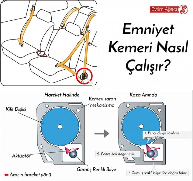 5. Emniyet Kemeri Nasıl Olur da Sadece Hızlı Çekildiğinde Kilitlenir?