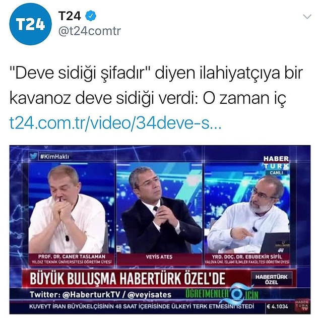 5. Noldu sustunuz?