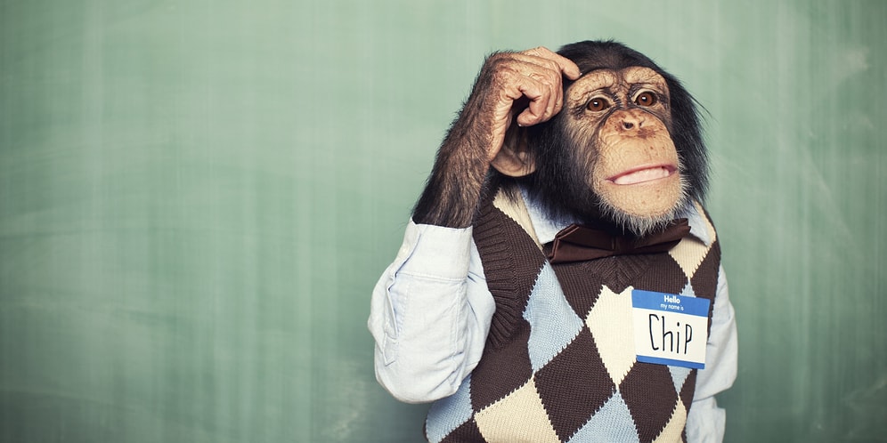 Худейте с умом: что бы такого съесть, чтобы себе не навредить?