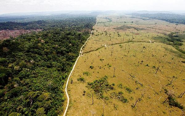 6. Çok hızlı artan ormansızlaşma kirletici maddeler ortaya çıkardığından sera gazlarında muazzam bir artış yaşanıyor.