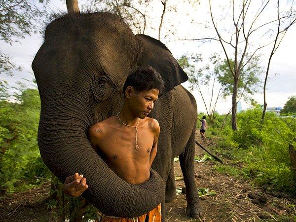Yaban hayatı için az miktarda kaynak bulunduğundan ve hızlı bir şekilde insan nüfusunun artması sonucunda kaçınılmaz olarak insan-fil çatışmaları yaşanacaktır.