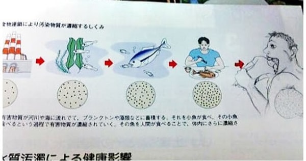13. Идеальная пищевая цепочка