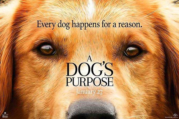 18. A Dog's Purpose (2017). IMDB Puanı: 6.8
